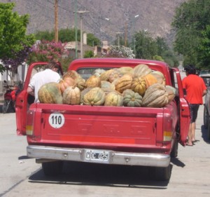 Rutas