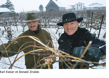 ICEWINE: EXTREME WINEMAKING