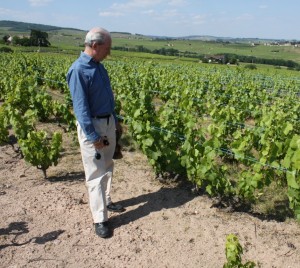 pierre-in-beaujolais-vines-doc-cropped