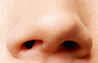 OUR NOSE CAN DETECT ONE TRILLION SMELLS
